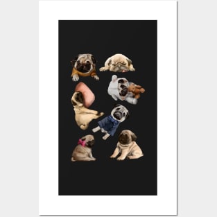 Extended Stickers Pug Posters and Art